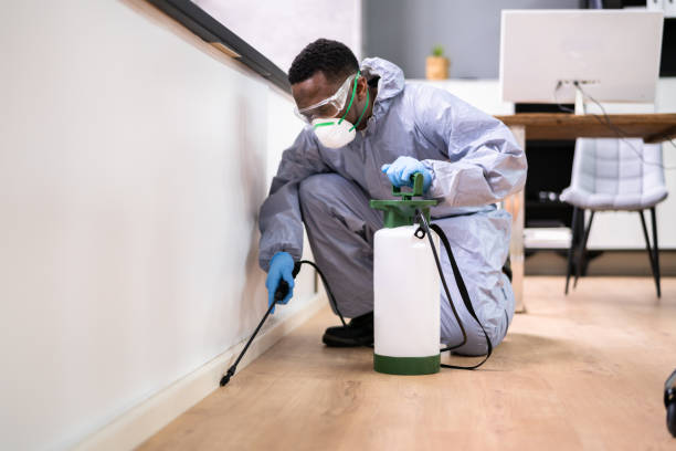 Best Real Estate Pest Inspections  in Sayre, OK